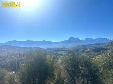 foto principale del terreno