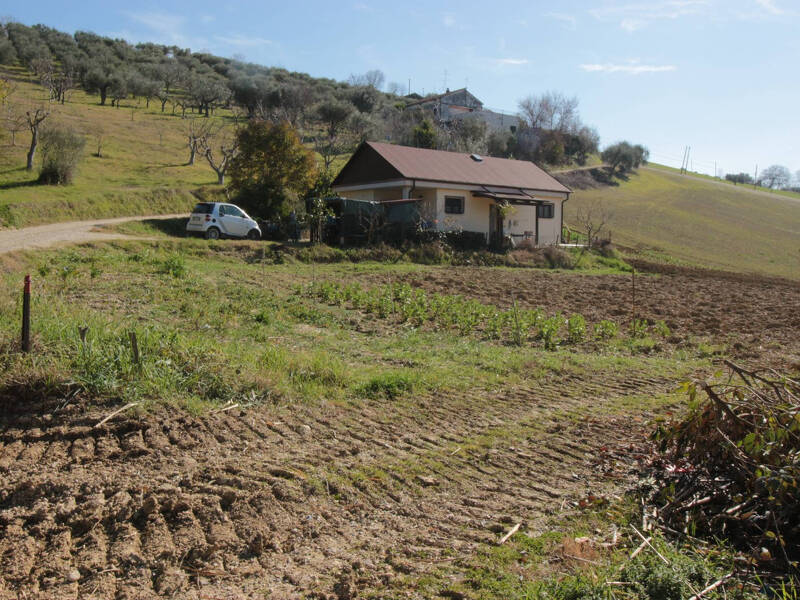 foto principale del terreno