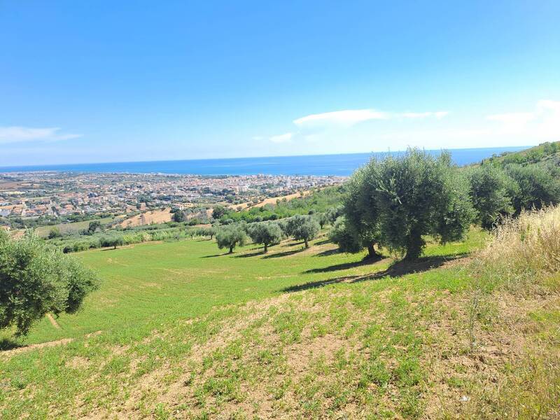 foto principale del terreno