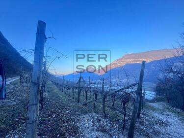 foto principale del terreno
