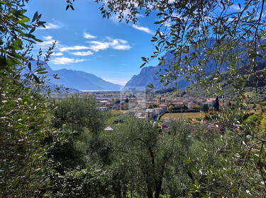 foto principale del terreno