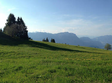 foto principale del terreno