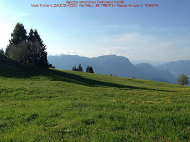 foto principale del terreno