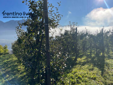 foto principale del terreno