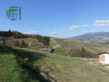 foto principale del terreno