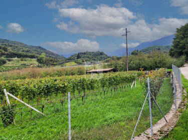 foto principale del terreno