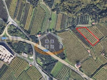 foto principale del terreno