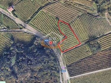 foto principale del terreno