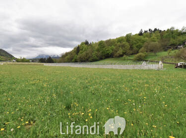 foto principale del terreno