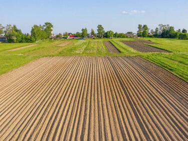 foto principale del terreno