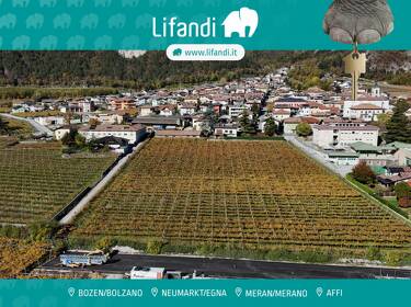 foto principale del terreno