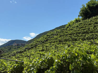 foto principale del terreno