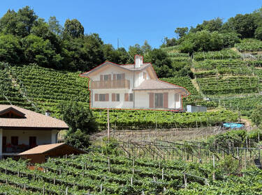 foto principale del terreno