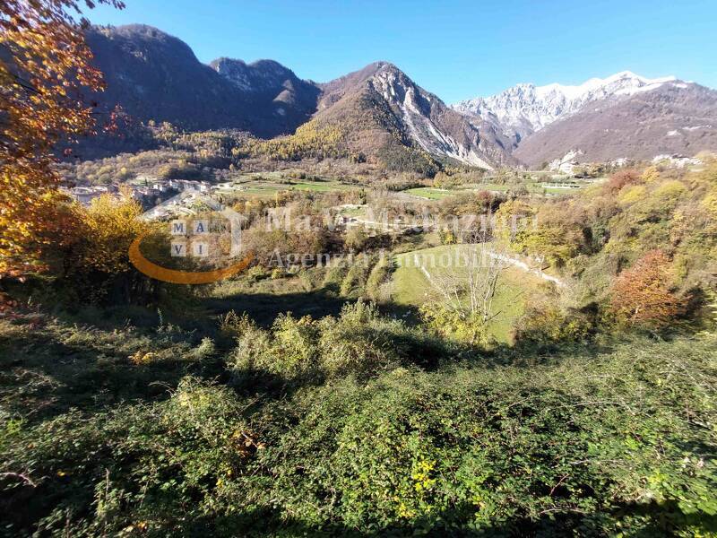 foto principale del terreno