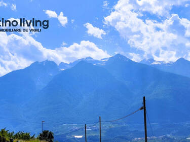 foto principale del terreno