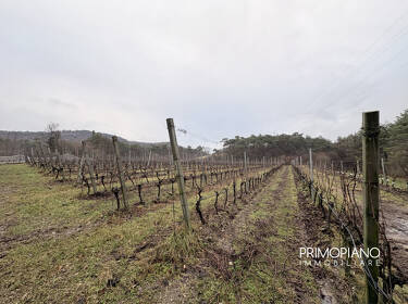 foto principale del terreno