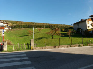 foto principale del terreno