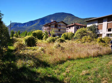 foto principale del terreno