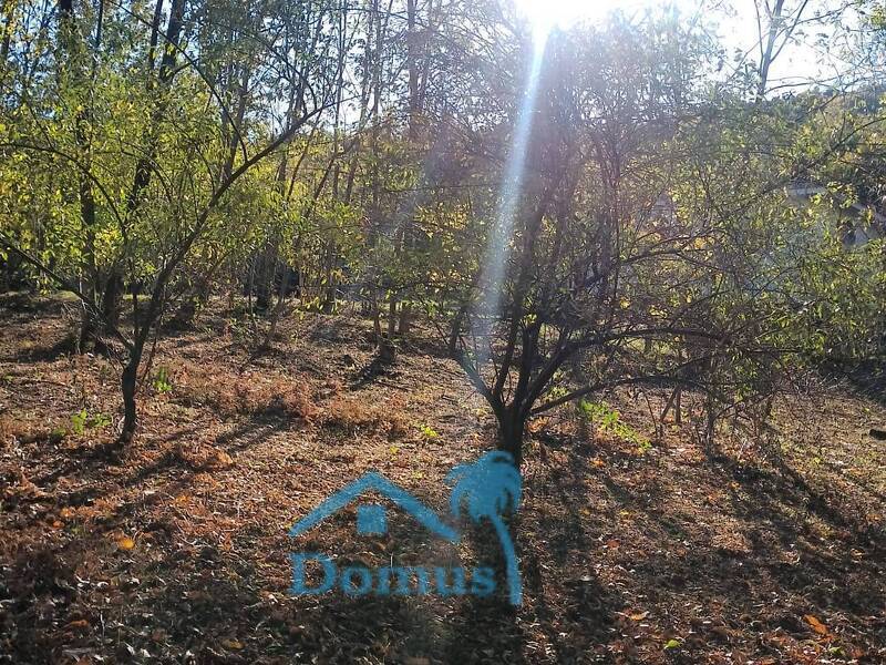 foto principale del terreno