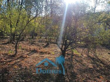 foto principale del terreno