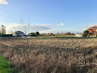 foto principale del terreno