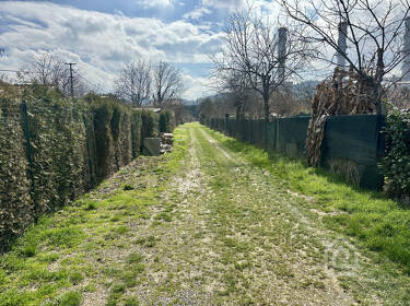 foto principale del terreno