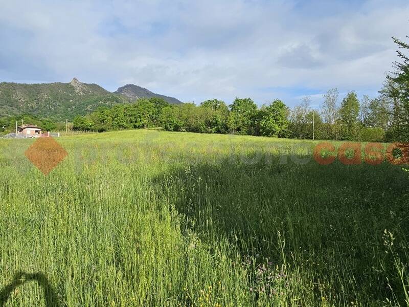 foto principale del terreno