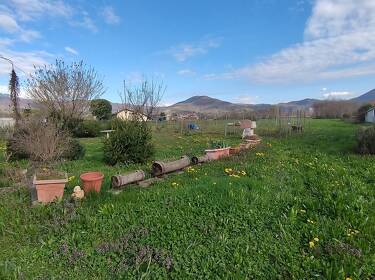 foto principale del terreno