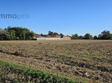 foto principale del terreno