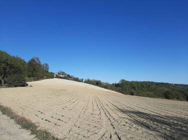 foto principale del terreno