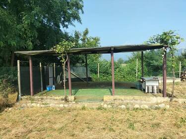 foto principale del terreno