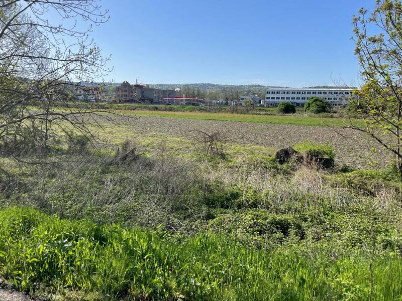 foto principale del terreno