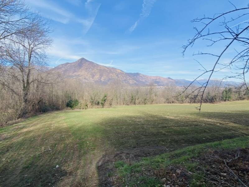foto principale del terreno