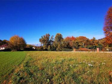 foto principale del terreno