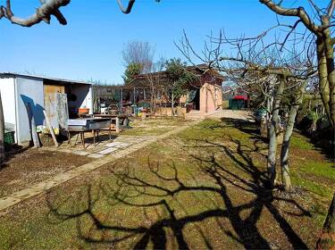 foto principale del terreno