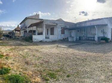 foto principale del terreno