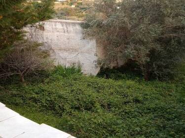 foto principale del terreno