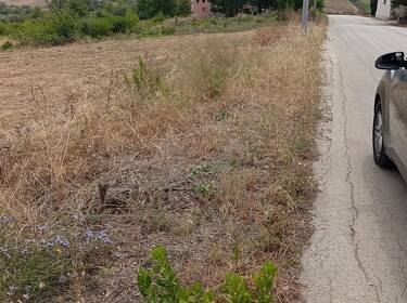 foto principale del terreno