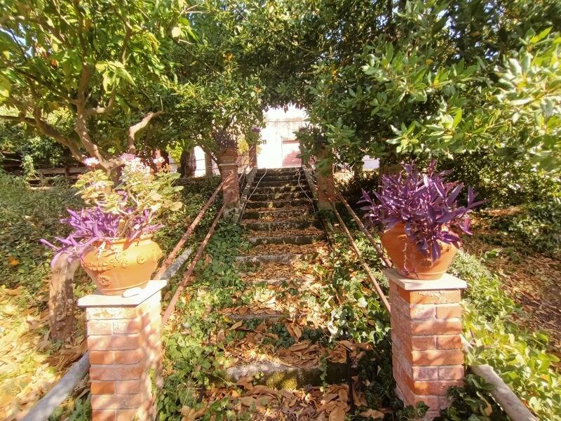 immagine annuncio 1 di 4