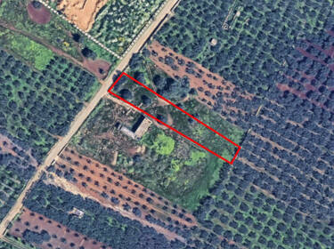 foto principale del terreno