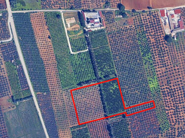 foto principale del terreno