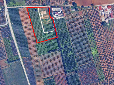 foto principale del terreno