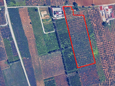 foto principale del terreno