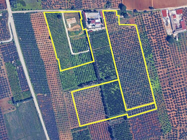 foto principale del terreno