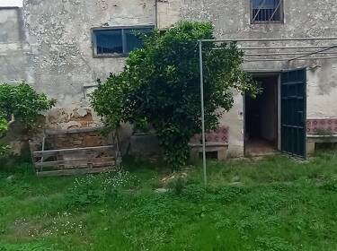 foto principale del terreno