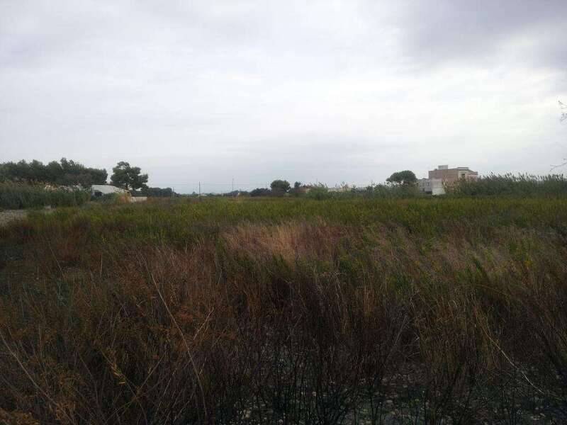 foto principale del terreno