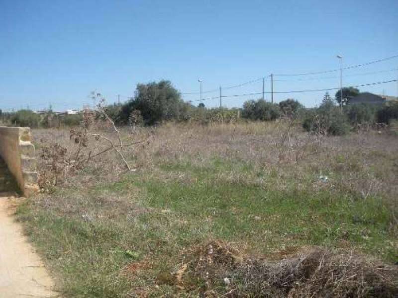 foto principale del terreno