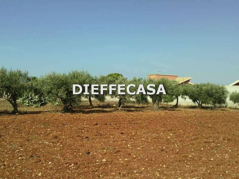 foto principale del terreno