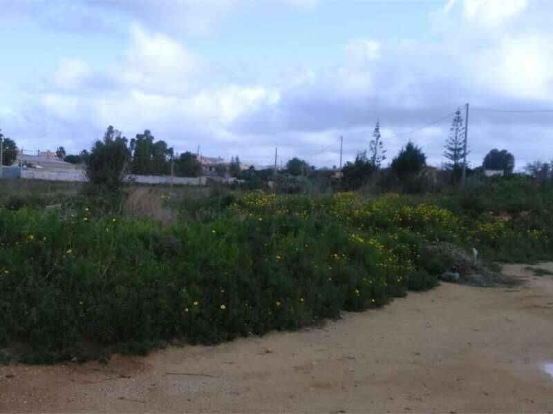 foto principale del terreno