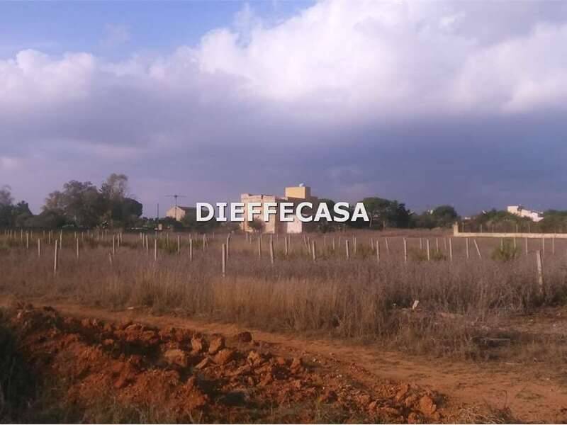 foto principale del terreno